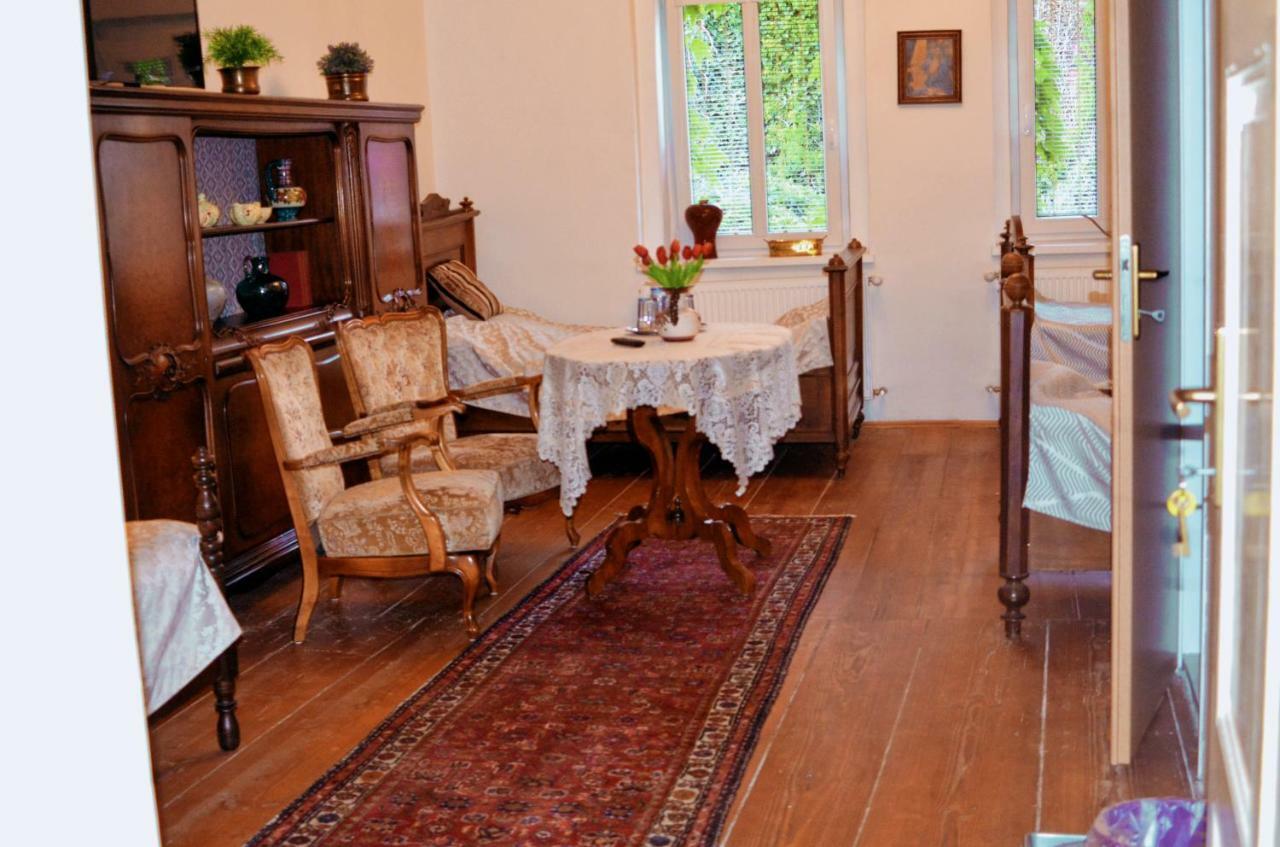 Penzion U Cermaka Ostrov  Zewnętrze zdjęcie